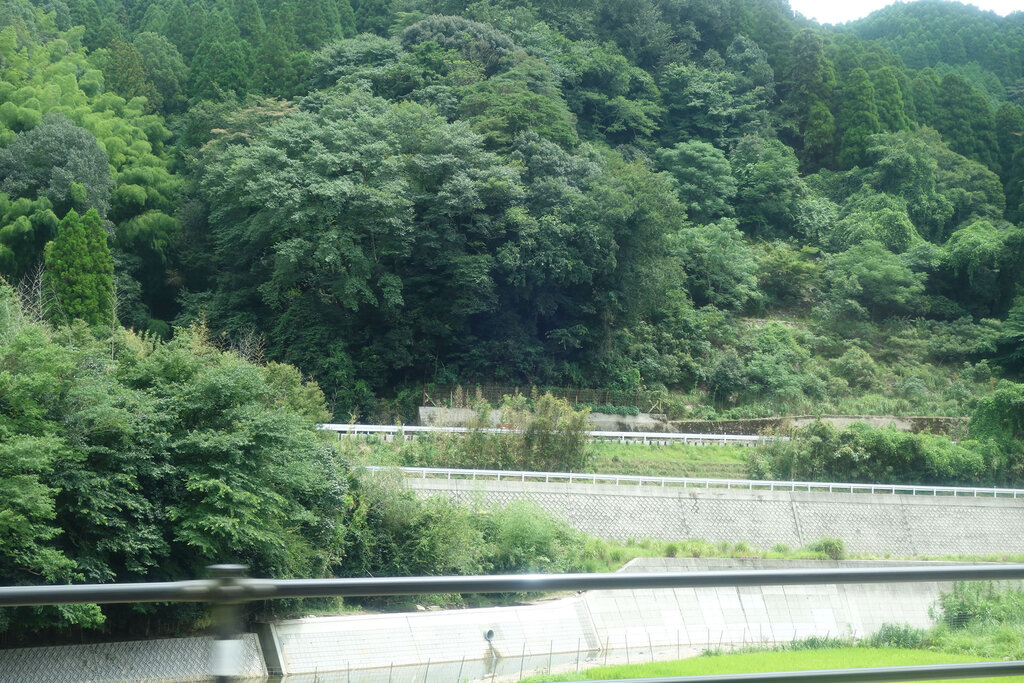 彦山駅からの専用道