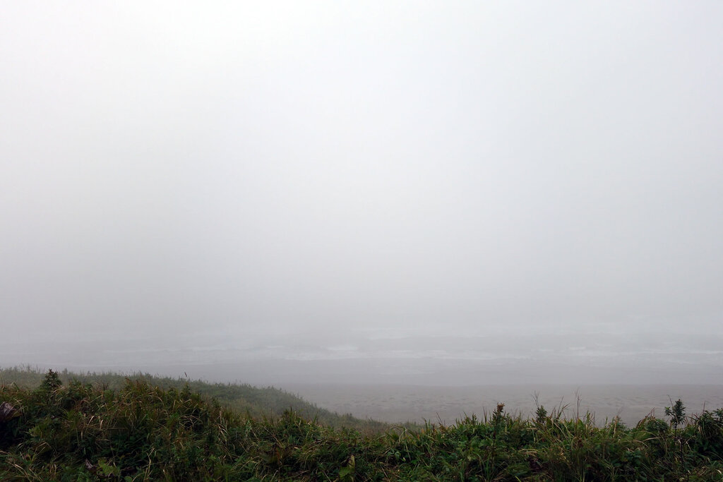霧の海