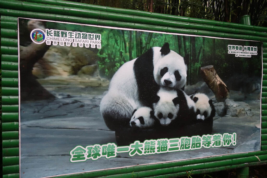 広州香江野生動物世界