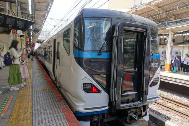 横浜駅に入線した「下田あじさい号」