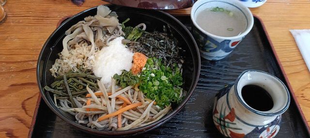 冷やしのざいごそば