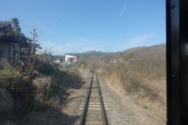 まだ春通し