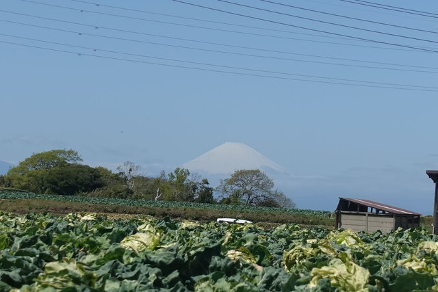 富士山