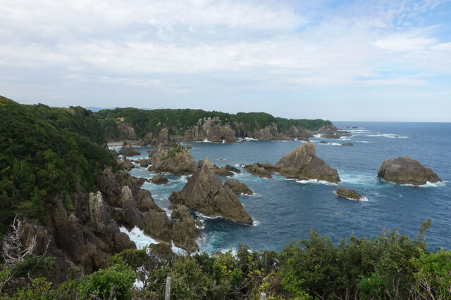 海金剛