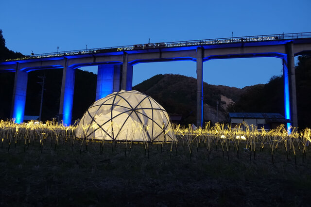 ライトアップ開始