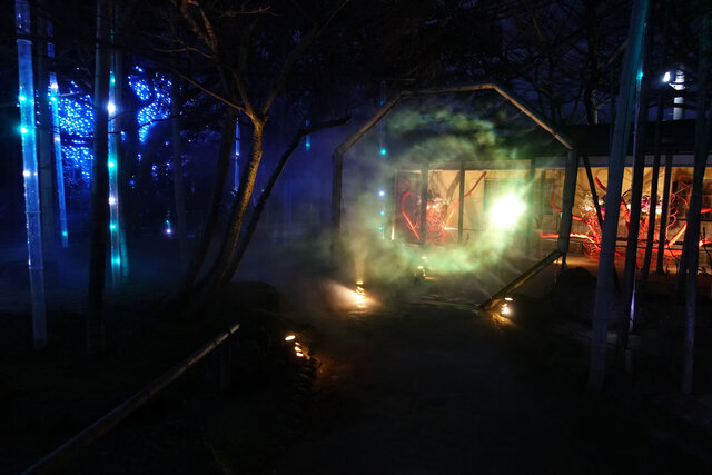 光と霧のイルミネーション