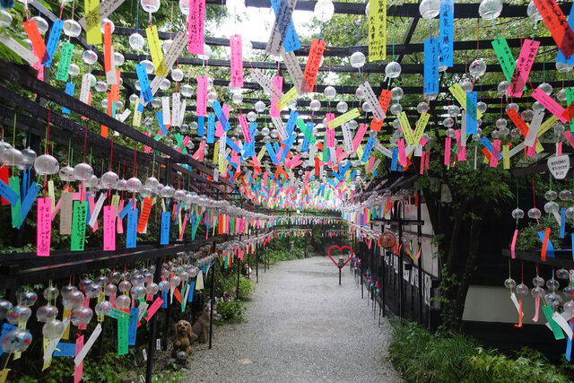 風鈴のトンネル