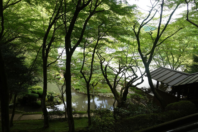 雷山千如寺からの眺め